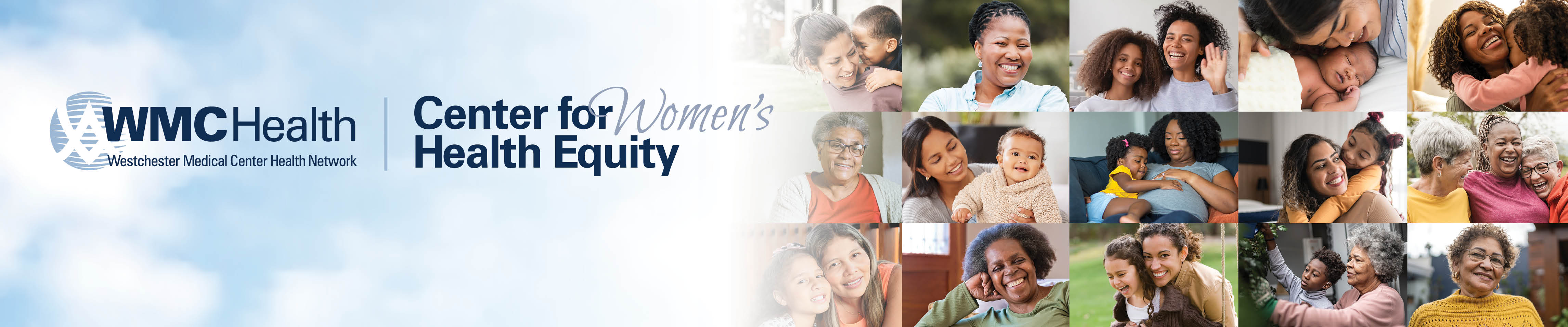 The Center for Women's Health Equity